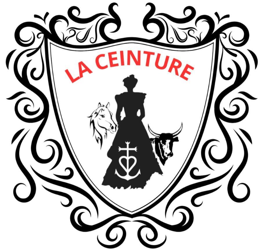 Hotel Restaurant La Ceinture Vauvert Eksteriør billede